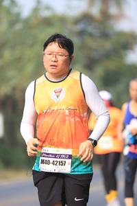 BIB: 260, 12195, 42157
                            <button type="button" onclick="openModal(8338315)" class="btn btn-primary btn-sm float-right btn-popup" data-toggle="modal" data-target=".modal-high-quality">
                        <i class="fas fa-shopping-cart"></i> Add to Cart
                    </button>
                                            <button type="button" onclick="isThisMe(8338315, true)" class="btn btn-success btn-sm float-right btn-popup btn-isme hidden" data-toggle="tooltip" data-placement="bottom" title="นี่คือรูปของคุณใช่ไหม คลิกที่นี่เพื่อเอาเข้าอัลบั้ม">
                        <i class="fas fa-plus"></i> Add to album
                    </button>
                    <button type="button" onclick="isThisMe(8338315, false)" class="btn btn-warning btn-sm float-right btn-popup btn-isnotme hidden">
                        <i class="fas fa-ban"></i> Remove from album
                    </button>